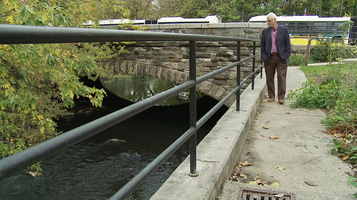 John Waldman: Bringing the Bronx River back to life