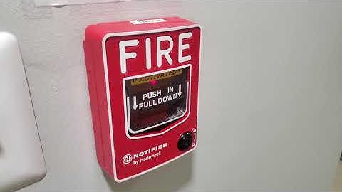 Notifier NFS-320 Fire Alarm Test