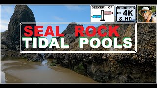 Download Lagu Seal Rock Oregon coast visitor attractions fun things to do tidal pools 4k with narrative MP3