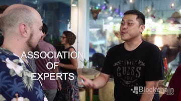 Blockchain Zoo: bringing clarity to the blockchain jungle