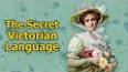 The Secret Language of Flowers ile ilgili video