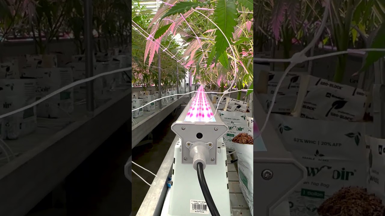 How Craft Farmer Undercanopy Lights Connect Together