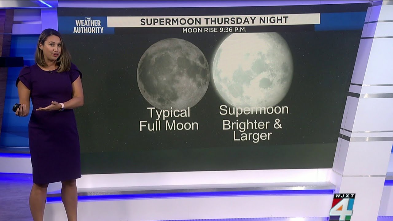 Summer’s best meteor shower shares the spotlight with last supermoon of ...