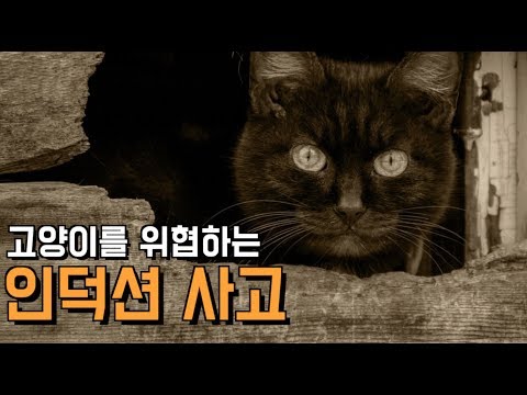 어디서 타는 <strong>냄새</strong> 안나요? 내 젤리가 <strong>타고</strong> 있잖아요