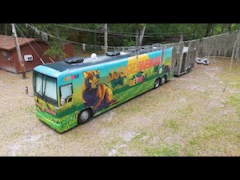 JJ Grey x Live Wildly Partner to Protect Florida Wildlife