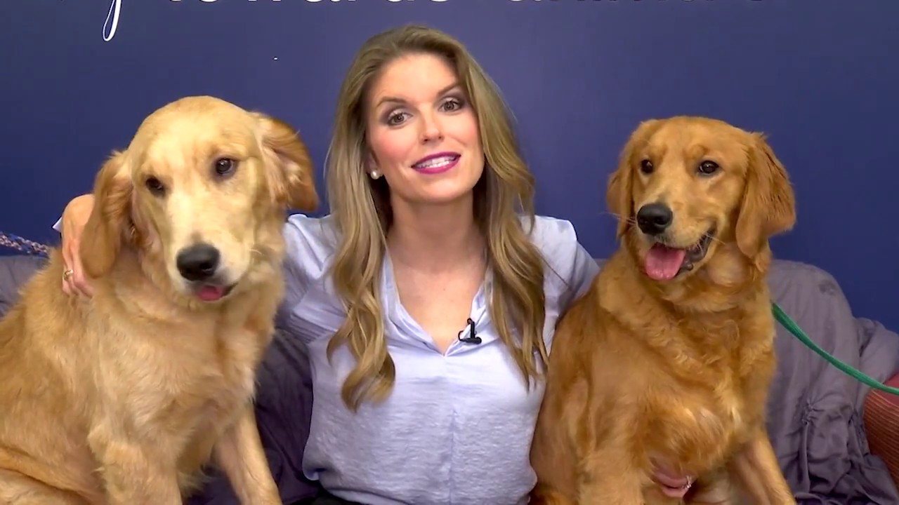 Inside Animal Rescue Corps in Tennessee