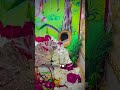 Tejal 💫✨ sarkar 🐍🔰 happy Holi 💐 #trending #sursura #reels #song #holiday #tejaji #holi #tejal#lilan