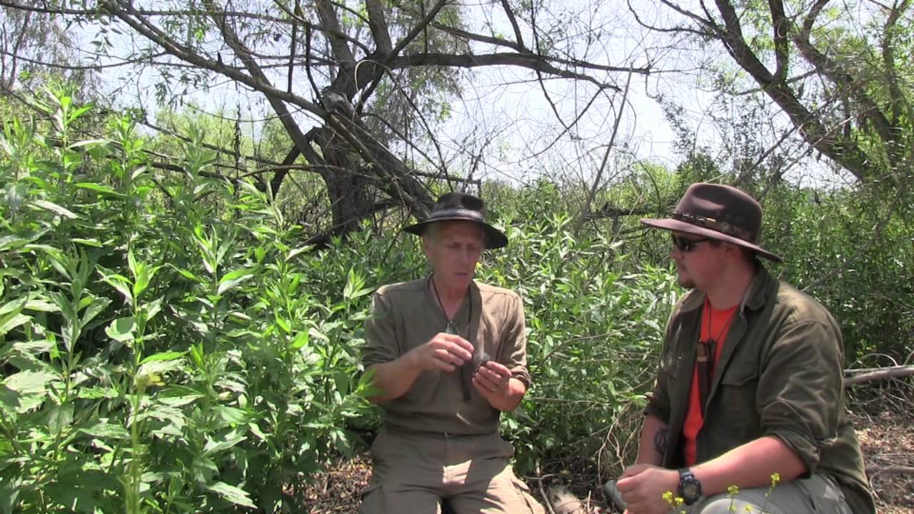 The Uses For Mugwort Featuring Jeff Martin And Christopher Nyerges