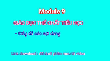 Đáp án nội dung Module 9 môn giáo dục thể chất tiểu học đầy đủ nhất