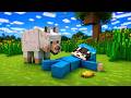 Piggy Helps Baby Minecraft Animation 🌅🌧️🤩