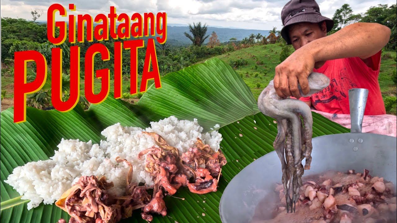 Pugita sa Gata?! Luto Tayo ng Masarap at Malinamnam na Ulam! 