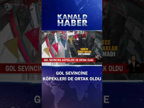 Sadece Taraftarlar Kutlamadı! Gol Sevincine Köpekleri De Ortak Oldu