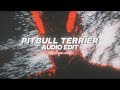 Pitbull Terrier Tik Tok Version Super Slowed Edit Audio Die Antwoord 