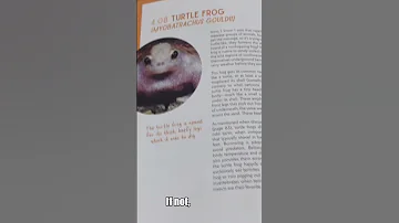 A FROG Who Can T HOP Shorts Frogs Facts 