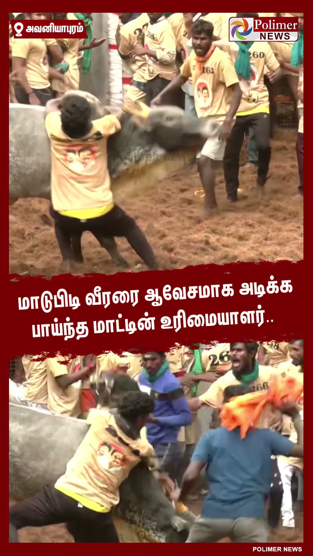 மாடுபிடி வீரரை ஆவேசமாக அடிக்க பாய்ந்த மாட்டின் உரிமையாளர்.. #shorts | #avaniyapuramjallikattu