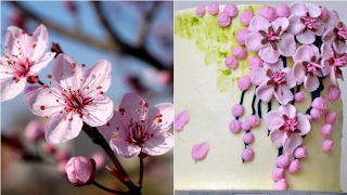 How to pipe cherry blossom: Mini buttercream flower cakes 2/4 - relaxing cake decorating tutorial