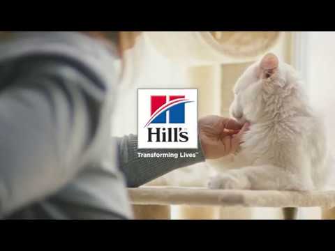 camera iphone 8 plus apk Yes a kibble can change the world. (30sec)