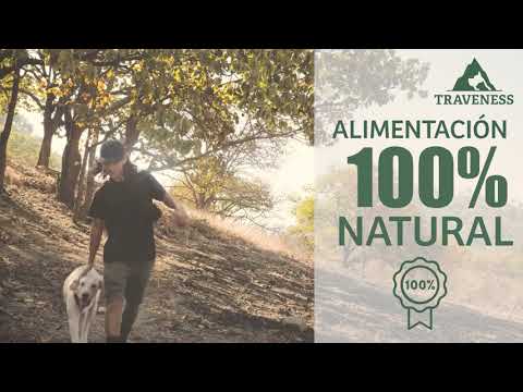 Video: Natura Pet Amplía El Mercado De Alimentos Para Perros Karma