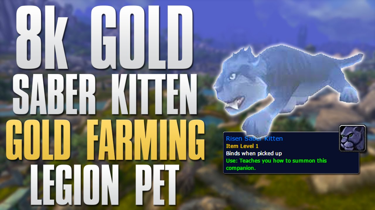 WoW Gold Farming: How To Farm The Risen Saber Kitten! 8k Gold New Legion Battle Pet!