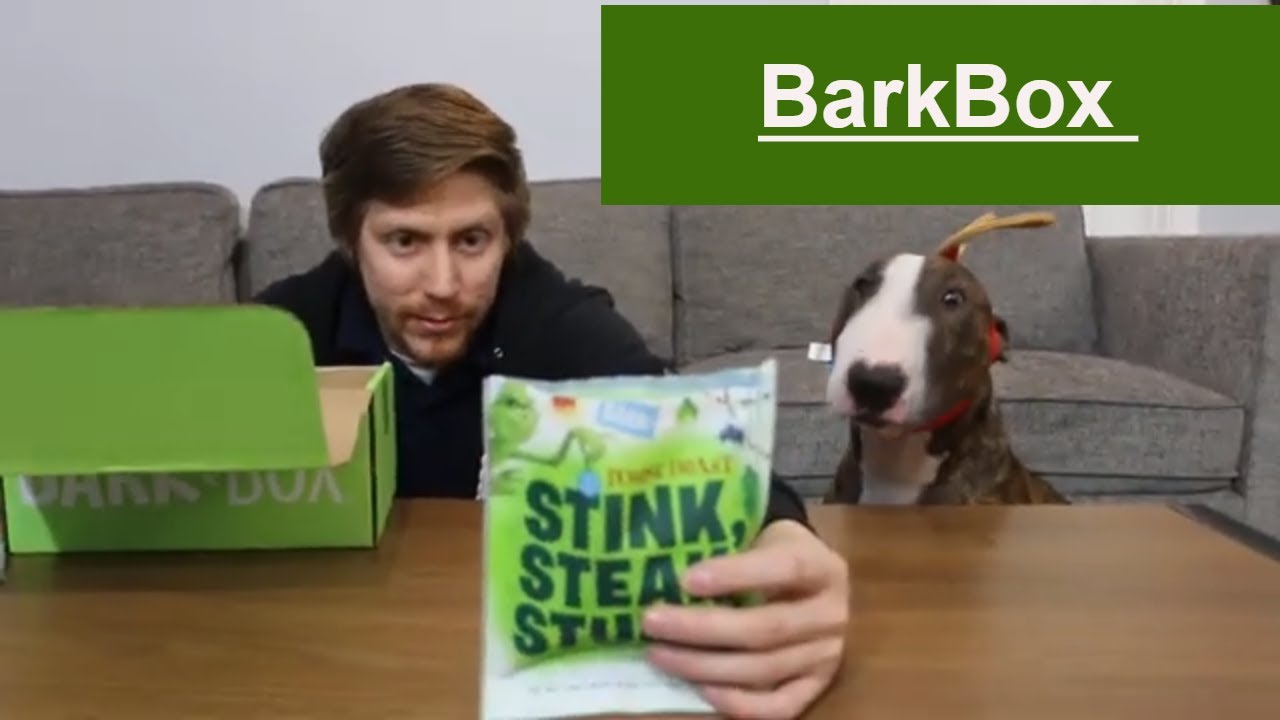 BarkBox November Unboxing YouTube