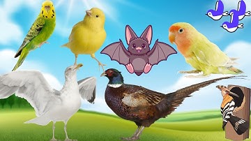 CÙNG BÉ CHƠI GHÉP HÌNH CON VẬT NHÉ | HỌC CÙNG RUBY TV