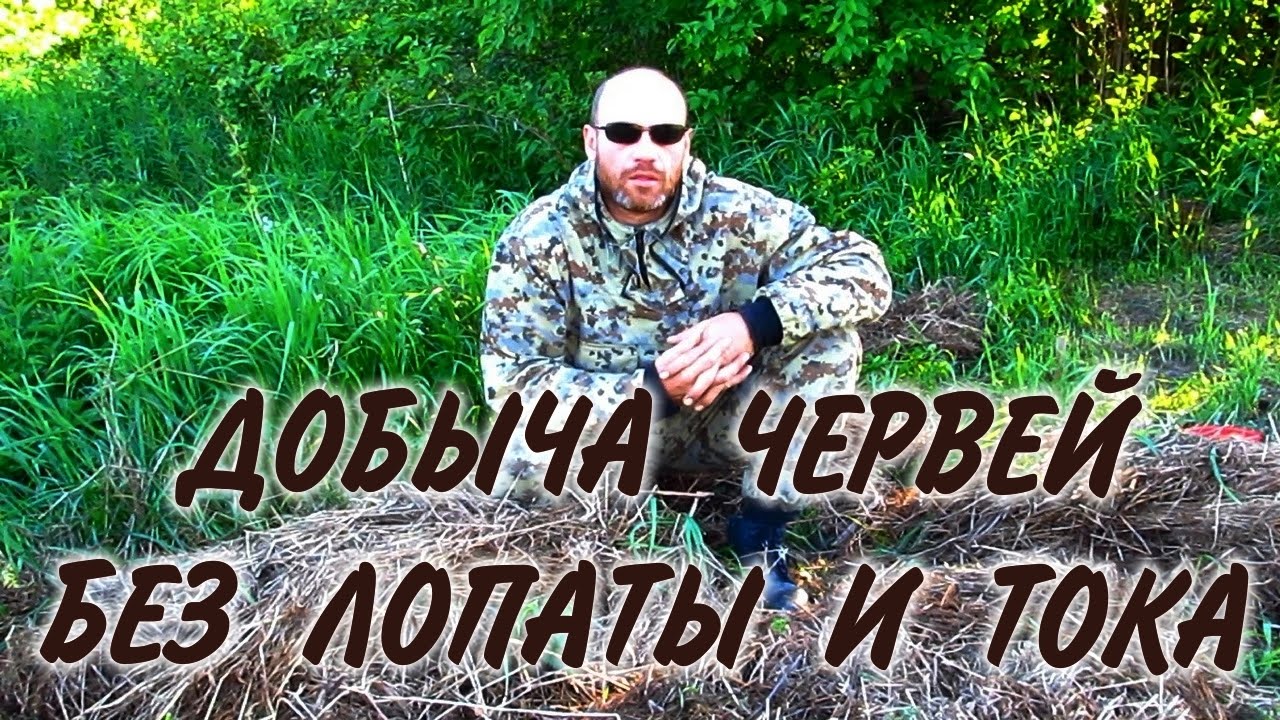 Как можно добыть достаточное количество червей для рыбалки там, где их нет?