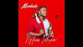 Mzukulu - Fire fighter (feat. Shisamabhodwe)