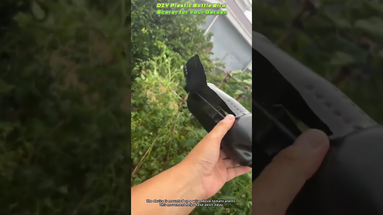 DIY Plastic Bottle Bird Scarer for Your Garden