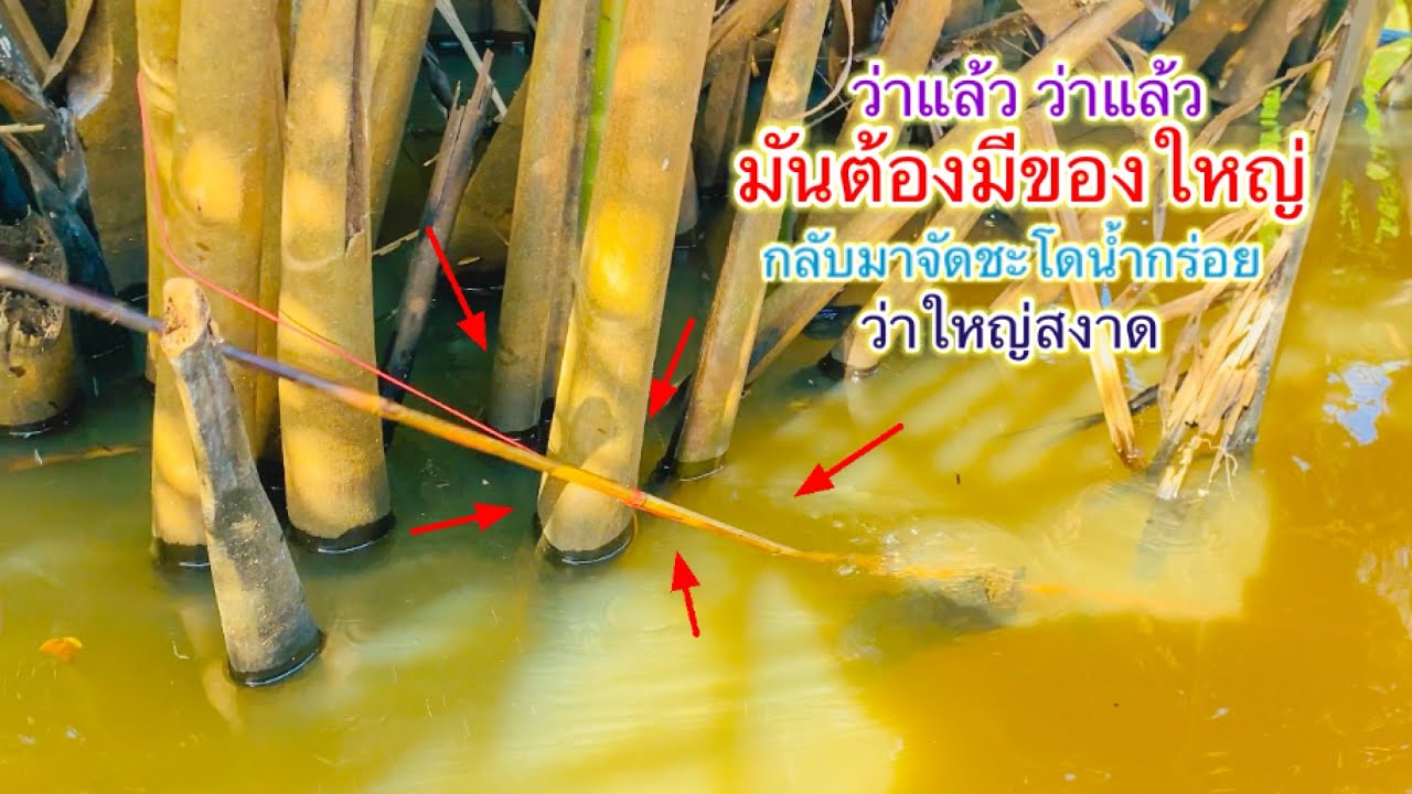 กลับมาเพื่อจัดการ เพิ่มขนาดตาเบ็ด ตามงานกันหน่อย ว่าแล้วมันต้องใหญ่ ว่าใหญ่สงาด