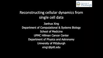 MoRN Seminar: Jianhua Xing (University of Pittsburgh), March 23, 2023