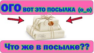 Mouse. Как выглядит декоративная мышь. Долгожданные мышки мои. - Жиvой Уголок Наsти Mouse. Как выглядит декоративная мышь. Долгожданные мышки мои. - Жиvой Уголок Наsти