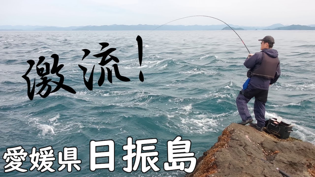 秋の日振島でグレ、メジナ