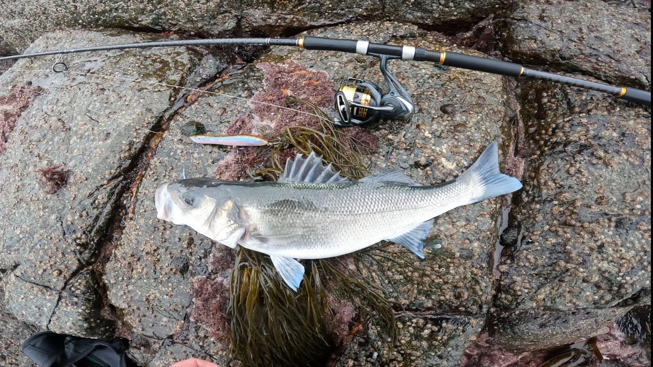 WINTER for the WIN use these TIPS! to CATCH more BASS on lures!