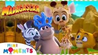 Let's Get This Party Started!  | Madagascar: A Little Wild | Compilation | Mini Moments