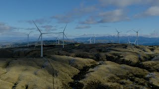 Harapaki Wind Farm is all go, and delivering for NZ