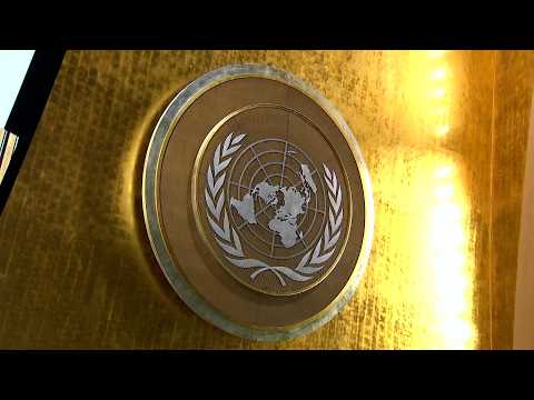 UN Town Hall: Choosing the Next Secretary-General
