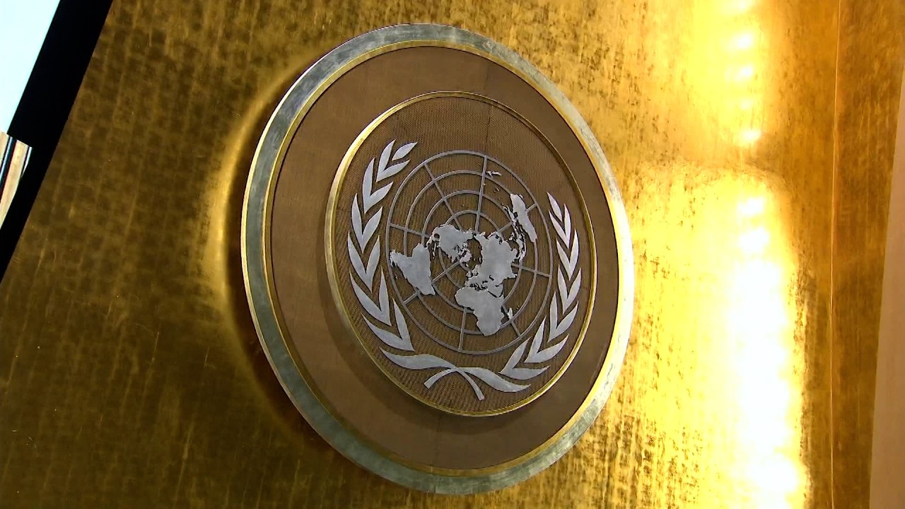 UN Town Hall: Choosing the Next Secretary-General