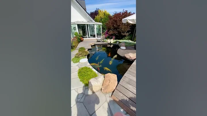 INDOOR Fish Pond with TUNNEL to Outdoor Tank #Shorts