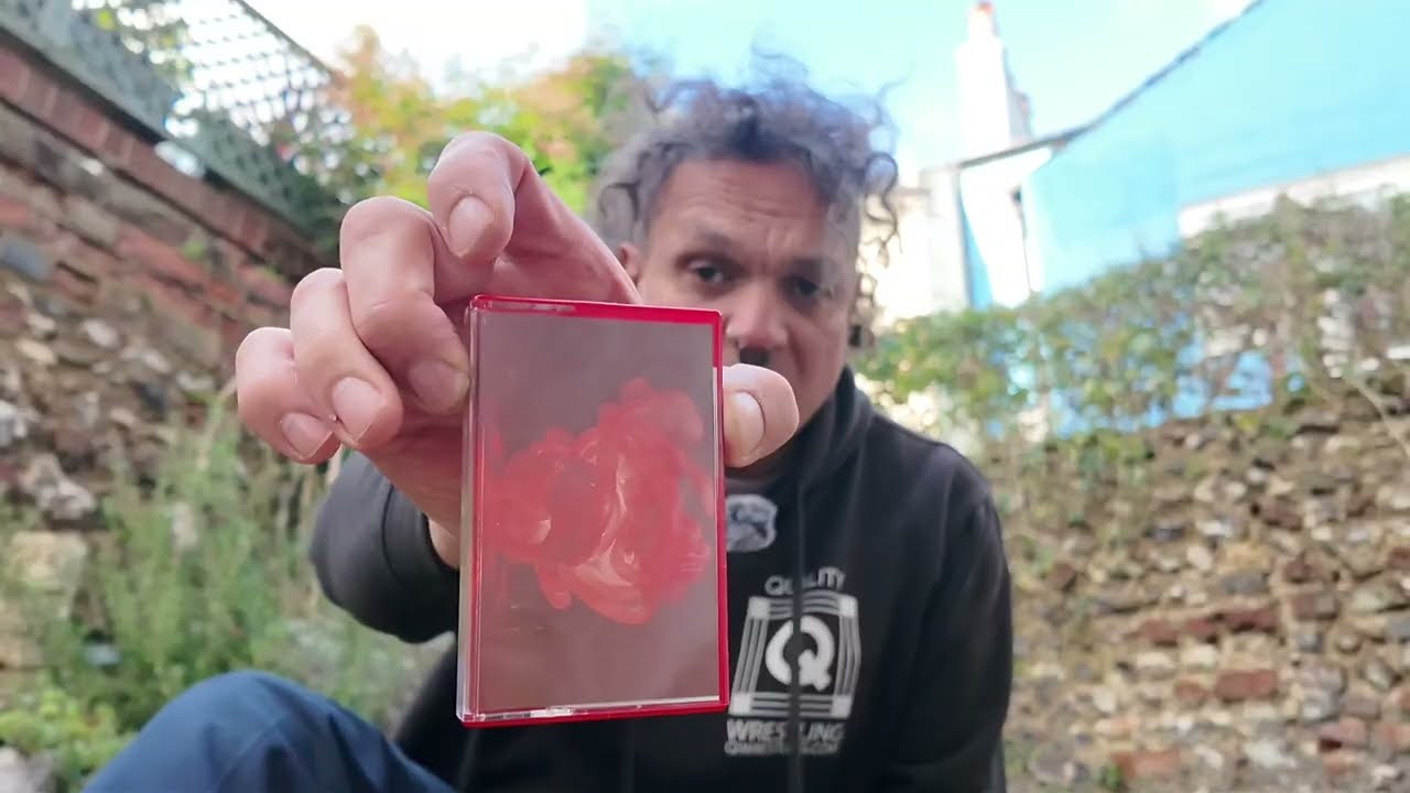 Dbsb monthly music review. Organ - Zimmerman & Leinhard (wide Ear Records)