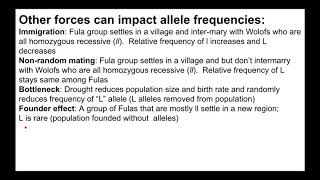 Changes in allele frequencies - Latose thought experiment