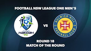 League One NSW Men's Round 18: Hakoah Sydney City East FC v Dulwich Hill FC