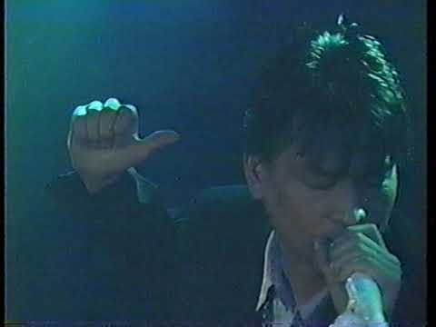 邦楽 SERIKA WITH DOG DEMO 1982 SERIKA with DOG【 SHE`S THE SENSATION 】1982 ＜小室哲哉