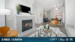 700 N Larrabee St Unit 207 Chicago, IL Laricy Properties Drone Tour Listing Video