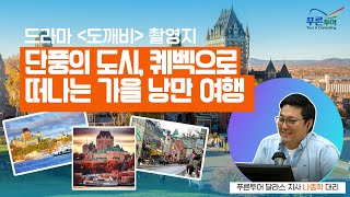 DKNET 단풍여행이 매년 완판되는 이유🍂 - 푸른투어 나종학 대리 [DK NET 행복스케치]