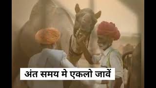 rajsthani new whatsapp status 2021 screenshot 4
