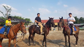 GET TO KNOW THE VARIOUS TYPES OF HORSES: G, KP, AND SANDEL | LET'S GO HORSE RIDING