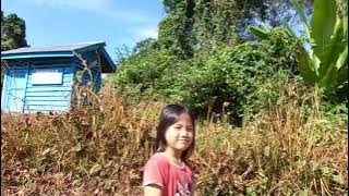 Desa Long Lian, Kecamatan Long Peso, Kabupaten Bulungan, Kalimantan Utara