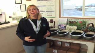Turning Organics and Green Waste Into Gardening Gold Compost