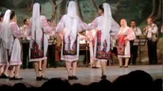 Ansamblul Bobocica Bailesti