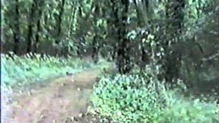 NVECapture 0004